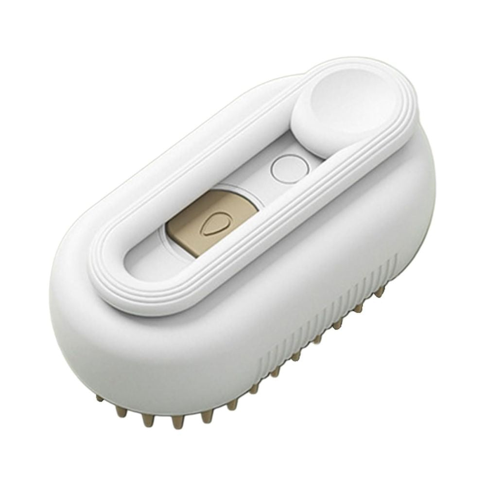 SteamBrush