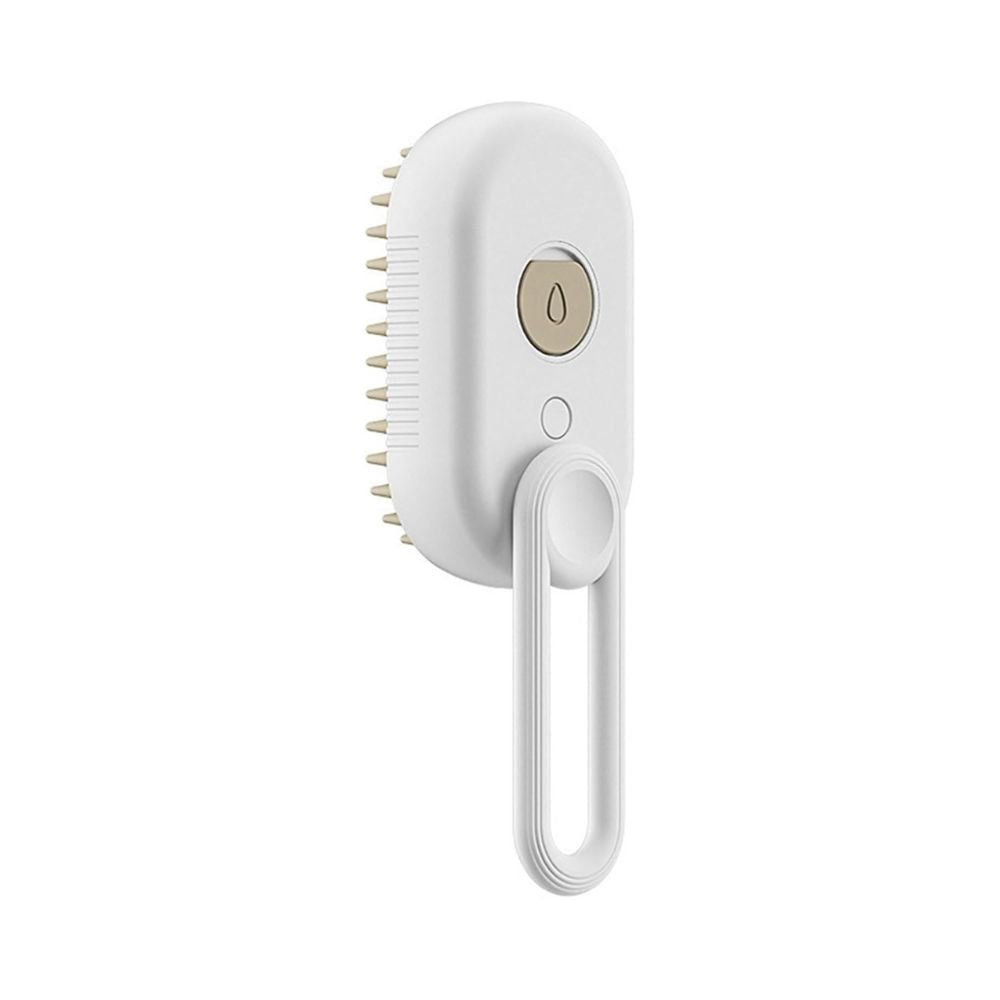 SteamBrush